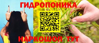 бошки Ливны